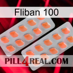 Fliban 100 27